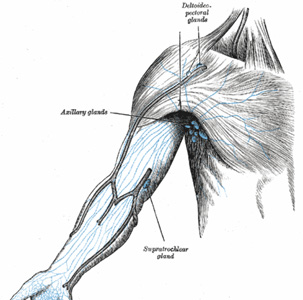 Lymphatic drainage in central London